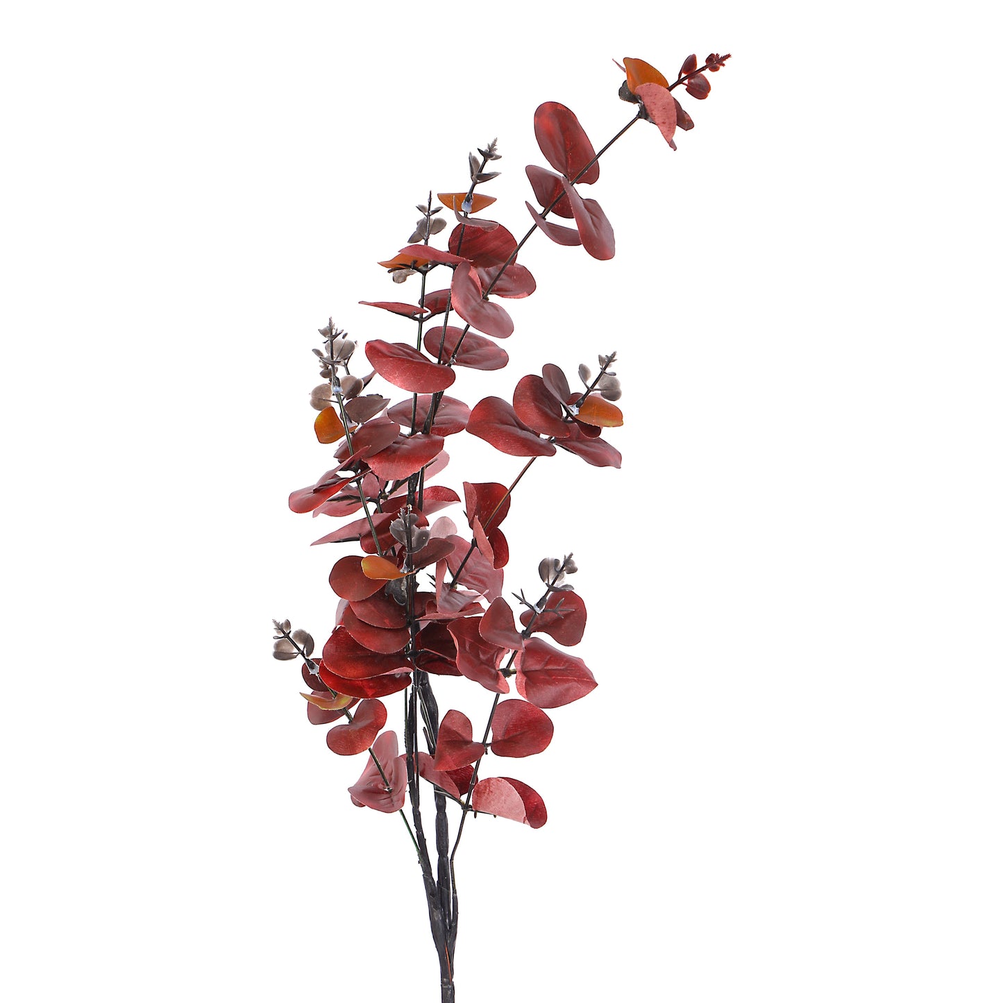 Flower Bunch - Eucalyptus Red Sticks