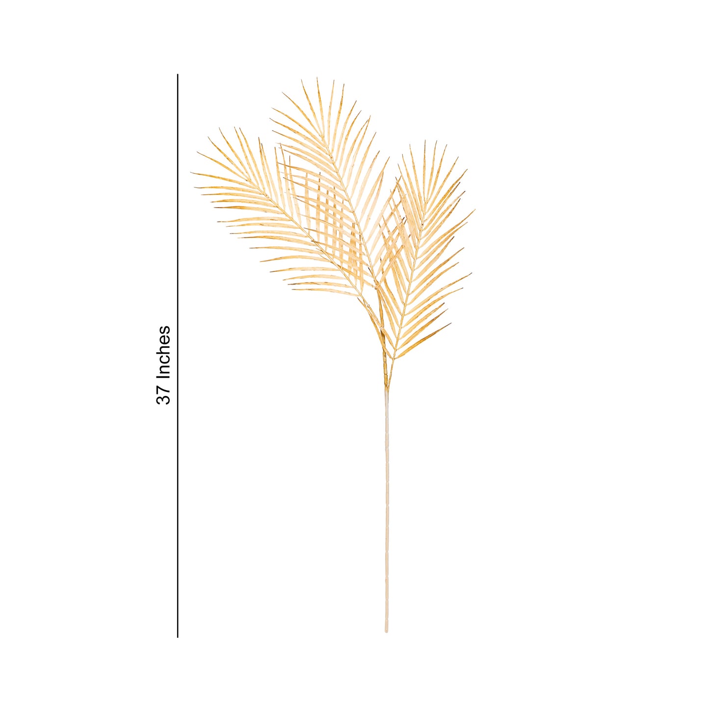 Flower Bunch - Big Fern Cream Sticks